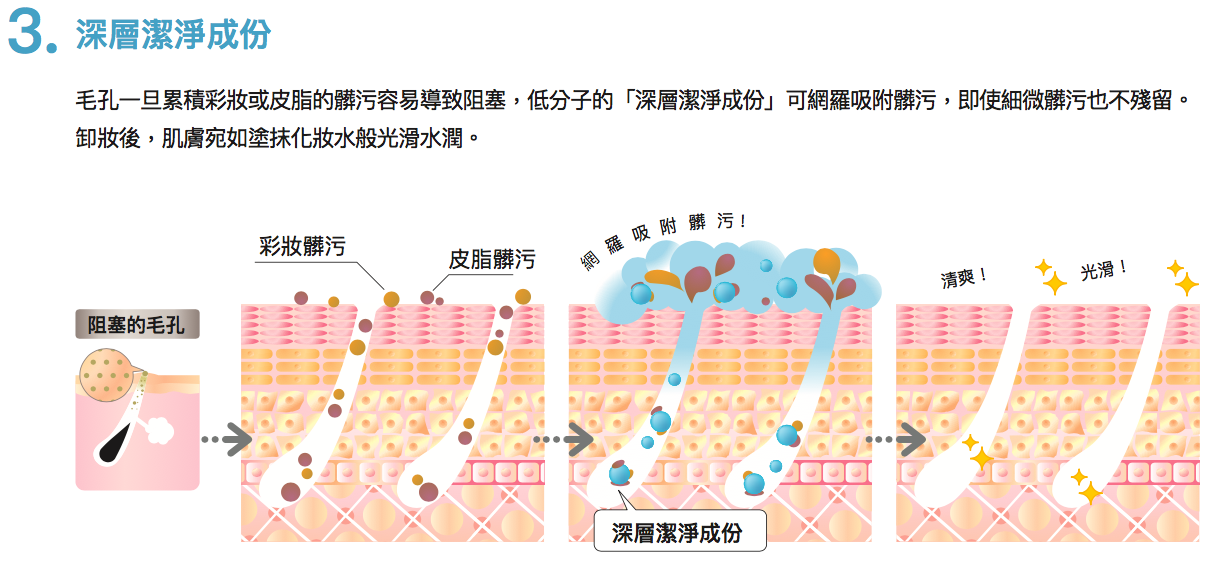 螢幕快照 2020-03-06 上午11.31.44